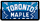 Toronto Maple Leafs 38282